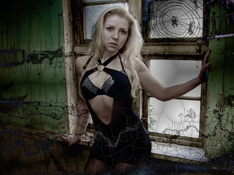 415 - BLACK WIDOW - HOCHHAUS ALEXANDER - germany.jpg